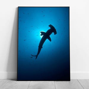 Stampa artistica di squalo martello smerlato che nuota nel mare della Costa Rica, decorazione da parete