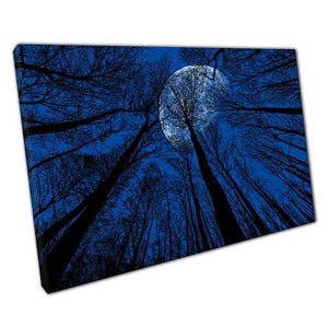 Canvas Wall Art Moon Over Woodland Picture for Home  Office Decor