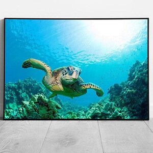 Tartaruga marina verde graziosa sott'acqua: stampa artistica da parete con vita oceanica e natura su carta incorniciata