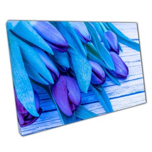 Tulip Bouquet Wall Art Print - Violet Toned Canvas Decor for Home  Office