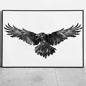 Stampa artistica da parete con illustrazione di corvo selvaggio volante su carta incorniciata
