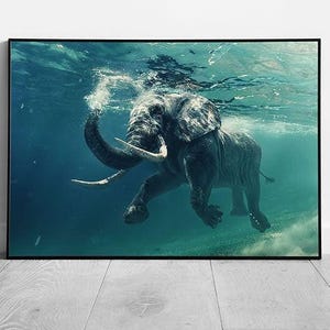 Stampa artistica da parete su carta con foto incorniciata di un elefante africano che nuota sott'acqua.