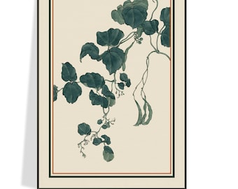 Vintage 19th Century Japanese Botanical Water Color Illustration, Kitchen & Cafe Wall Art, Botanical Art Decor Gift Ideas, Free Shipping
