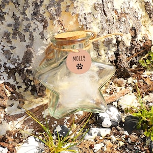 ペットの毛をモチーフにしたメモリアルガラスジャー、ペットロスの弔いの記念品、虹の橋を偲ぶギフト