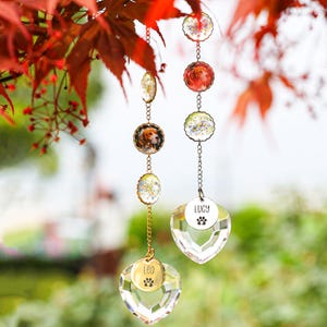 May include: Two decorative hanging ornaments. One features a heart-shaped crystal with the name "Lucy" and a paw print. The other has a heart-shaped crystal with the name "Leo" and a paw print. Both have chains and circular pendants with dog portraits, suspended from a red-leafed branch.