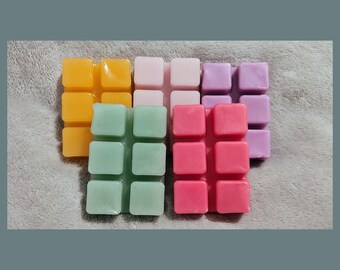 Wax melts snap bars