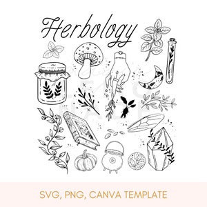 May include: Black and white illustration with the word "Herbology" in script. The image features various botanical and mystical elements, including a mushroom, hand, moon, book, pumpkin, and potion bottle.