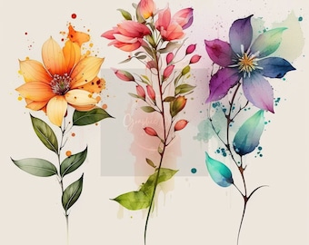 Clipart de flores em aquarela, 40 png, clipart floral, flores pintadas à mão, clipart romântico, flores para impressão, arte em aquarela, digital