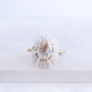 Pode incluir: Anel dourado com uma concha branca e castanha. A concha oval tem uma superfície texturizada com marcas castanhas. A banda do anel é fina e dourada, criando uma estética minimalista e praiana.