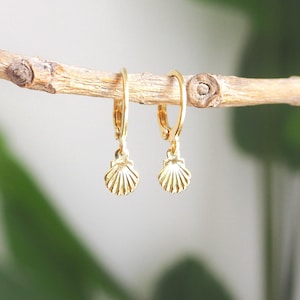 Kleine schelpoorbellen, zeesterhangerringen, 14k goud of zilver roestvrij staal, minimalistische kustsieraden