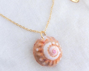 Orange Shell Necklace, Real Seashell from Portugal, 18k Gold Stainless Steel