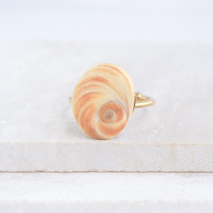 Könnte beinhalten: Ein Ring mit einer natürlichen Muschelschale, die ein Spiralmuster in Beige- und Orangetönen aufweist. Die Schale ist auf einem goldfarbenen Band angebracht und schafft ein einzigartiges, organisches Schmuckstück.