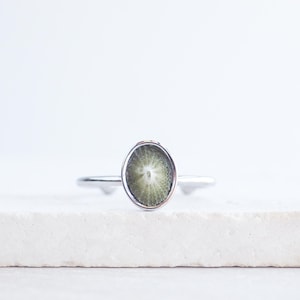 Winziger Limpet Muschel Ring, Handverlesene Schlüsselloch Muschel aus Portugal, Mini dunkelgrün oder graue Muschel, verstellbarer Silberring, Küsten Schmuck