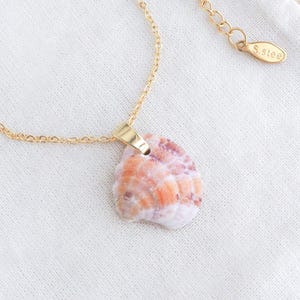 Op de afbeelding: Een goudkleurige ketting met een schelpenhanger. De hanger heeft oranje, roze en witte tinten. De ketting ligt op een witte doek. De sluiting is gemarkeerd met de tekst "S.steel".