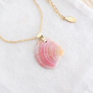 Op de afbeelding: Een goudkleurige ketting met een hanger van een roze en crèmekleurige zeeschelp. De zeeschelphanger is met een goudkleurige beugel aan de ketting bevestigd. De ketting wordt op een witte doek getoond.