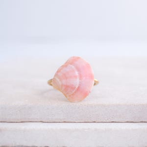 Op de afbeelding: Een ring met een roze zeeschelp op een goudkleurige band. De zeeschelp heeft een gelaagde textuur en een zachte roze tint. De ring staat tegen een witte achtergrond.