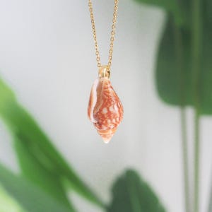 Op de afbeelding: Een goudkleurige ketting met een hanger van een natuurlijke zeeschelp. De schelp is lichtbruin met donkerbruine vlekken en een textuuroppervlak. De ketting wordt gepresenteerd tegen een zachte, vage achtergrond.