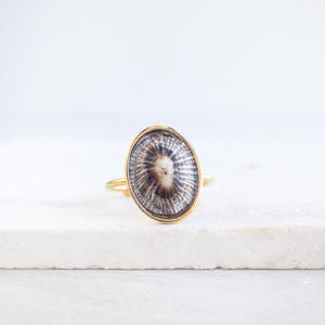 May include: A gold ring with an oval-shaped, shell-like centrepiece. The shell has a detailed, striped pattern in brown and white. The ring's band is thin, and the setting around the shell is gold. A piece of jewellery.