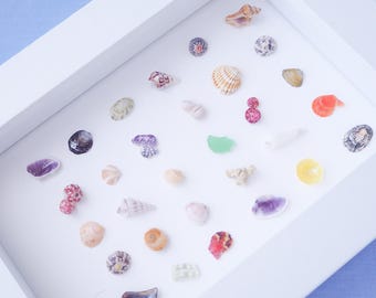 Mini Seashell Artwork, 30 Tiny Shell and Sea Treasures Handpicked from the beaches of Portugal, Coastal Bookshelf Decor, Holiday Memory Box