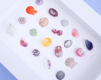 Mini Seashell Artwork, 20 Tiny Shells and Sea Treasures Handpicked from Portugal, Coastal Bookshelf Decor, Holiday Memory Box, Wooden Frame