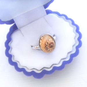 Boho-schelpring, zorgvuldig geselecteerde unieke schelp uit Portugal, verstelbare 925 sterlingzilveren ring, maanschelp, strandsieraden