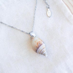 Puede incluir: Collar plateado con un colgante de concha natural. El colgante es de color beige claro con detalles marrones y blancos, y un diseño en espiral. La cadena del collar es delicada y ajustable.