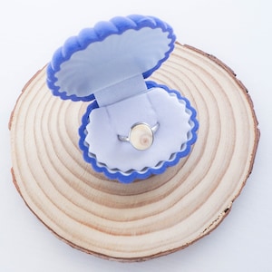 Seashell Blue Velvet Jewelry Box - Wedding Proposal Unique Gift Wrapping