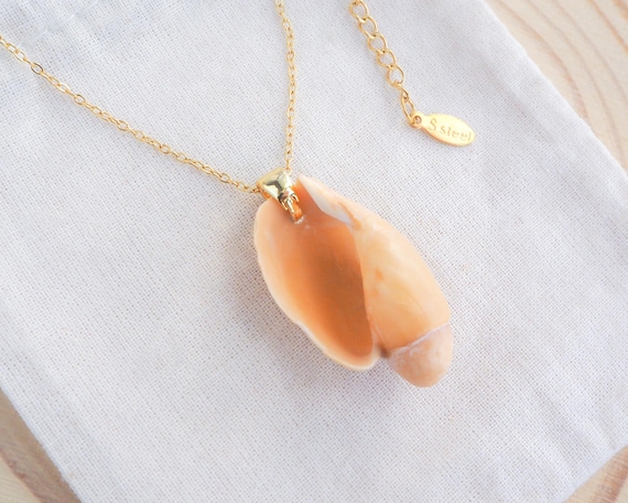 Llife】VOLUTA SHELL NECKLACE Love the Viral Shell Necklace? These