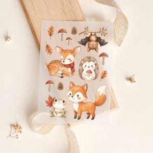 Könnte beinhalten: Ein Stickerbogen mit Aquarellillustrationen von Waldtieren, darunter ein Rehkitz mit rotem Schal, ein Igel mit Pilz, ein Fuchs und ein Frosch mit Blatt. Ebenfalls enthalten sind eine Fledermaus, Tannenzapfen, Eichenblätter und verschiedene Pilze.
