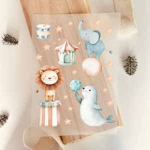 Op de afbeelding: Een transparante folie met circusillustraties. Het toont een leeuw, een olifant, een zeehond, een trommel en een circustent, allemaal in pastelkleuren. Er zijn sterren verspreid rond de afbeeldingen.