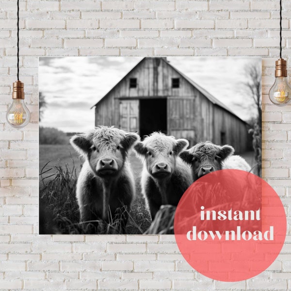 Cute Baby Highland Cows by Rustic Wisconsin Barn - Printable - Pet Portrait Print - Ready to Print - Rustic Farm Art - Print for Bar Bedroom