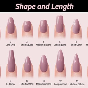 a collection of nail polish colors and their corresponding shape and length, providing a visual guide for choosing the right nail polish shade based on one's nail shape and desired length.