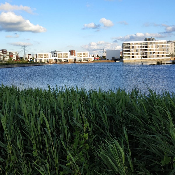 Nesselande  Prins Alexander Holland  Nederland  Huis  Natuur  Water  Landschap  Gras  Foto  Camera  Schilderij  Bos  Ruimte  Gebouw  Flat