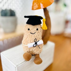 May include: A plush peanut character wearing a black graduation cap with a yellow tassel and holding a rolled-up diploma tied with black string. The peanut has a smiling face and corduroy feet. An orange mushroom is in the background.
