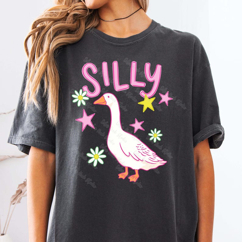 May include: Dark gray t-shirt featuring a whimsical design. The graphic includes the word "SILLY" in pink, a white goose, pink stars, yellow stars, and white flowers. The shirt has short sleeves and a relaxed fit.