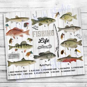 May include: A white wood background with a fishing rod and ten different types of fish. The fish are labeled with their names: Rocky Mountain Trout, Black Bass, Strawberry Bass, Red Snapper, Striped Bass, Yellow Perch, Rock Bass, Atlantic Salmon, Sea Bass, and Canadian Trout.