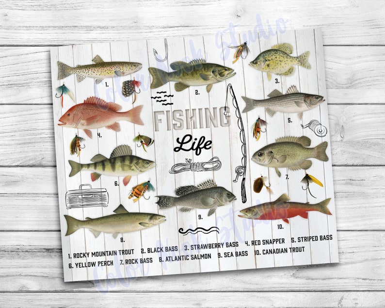 May include: A white wood background with a fishing rod and ten different types of fish. The fish are labeled with their names: Rocky Mountain Trout, Black Bass, Strawberry Bass, Red Snapper, Striped Bass, Yellow Perch, Rock Bass, Atlantic Salmon, Sea Bass, and Canadian Trout.