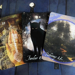Career Path Guidance Tarot Reading