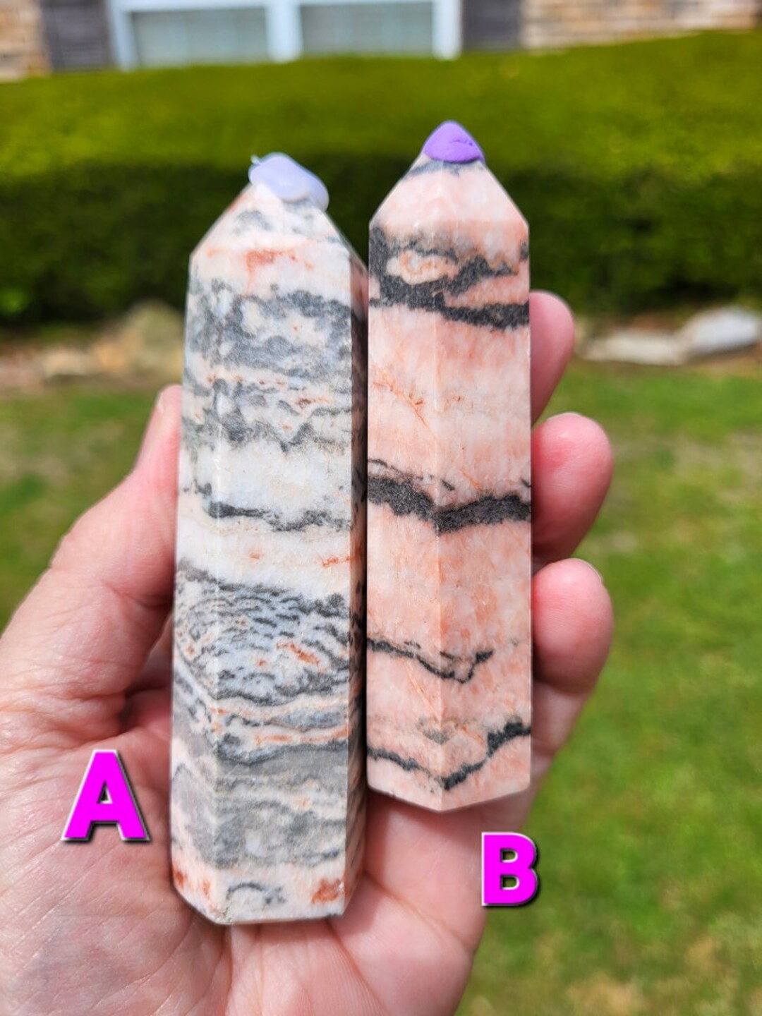 Pink Zebra Towers 2 Totally Different Styles Etsy