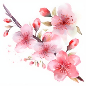 Aquarelle Floral Clip Art - Spring Blossoms - Sakura Illustrations - Flower Frames and Wreaths - Digital Download