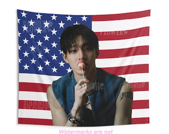 Stray Kids ヒョンジン ブランケット タペストリー フラッグ Amazon.co.jp: ブランケット(blanket) Straykids ヒョンジン