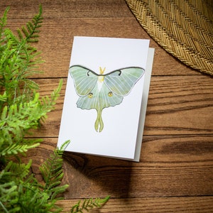 Luna Moth Watercolor Greeting Card