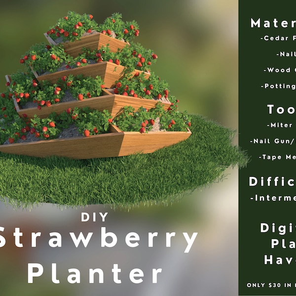Strawberry Planter for your Garden DIY Woodworking Project Plans Digital Download, Easy to Build, PDF
