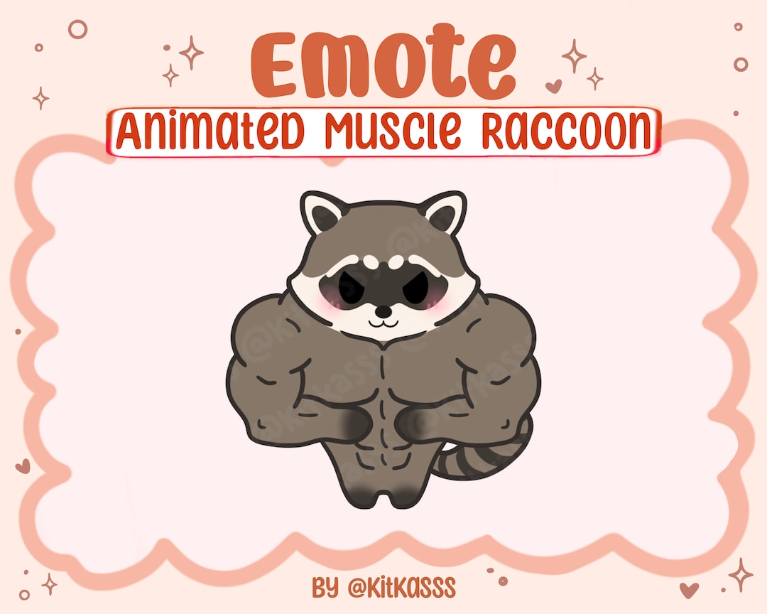 Cute Raccoon Emote - Animated Raccoon Emote - Buff Raccoon Emote ...