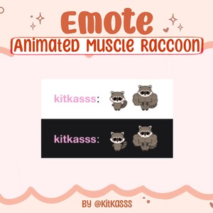 Cute Raccoon Emote - Animated Raccoon Emote - Buff Raccoon Emote ...