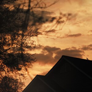 A Warm Evening