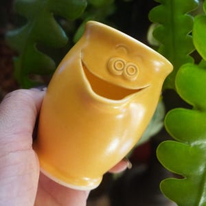 Könnte beinhalten: Kleine, gelbe Keramikvase mit einem lächelnden Gesichtsdesign. Die Vase hat eine breite Öffnung und einen abgerundeten Körper. Der Hintergrund zeigt grüne, blattreiche Pflanzen, die eine natürliche und fröhliche Ästhetik schaffen.
