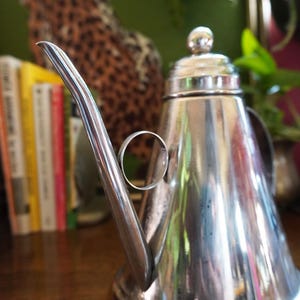 May include: A polished silver tea kettle with a long, curved spout and a small, round handle. The kettle has a conical shape and a small, round lid. The background includes a stack of books and a leopard print pattern.
