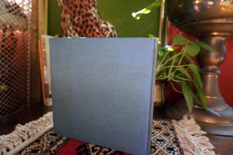 May include: A hardcover book with a light blue cover. The book is standing upright on a patterned rug with a red and beige design. Other books and decorative items are in the background.