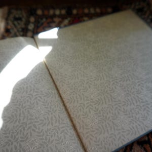 May include: An open book with light-colored pages featuring a delicate, repeating leaf pattern. The book's pages are illuminated by a beam of sunlight, creating a contrast of light and shadow. The book is resting on a patterned rug.